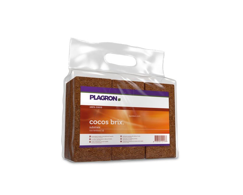 Tijolo Coco Plagron (6 unidades)