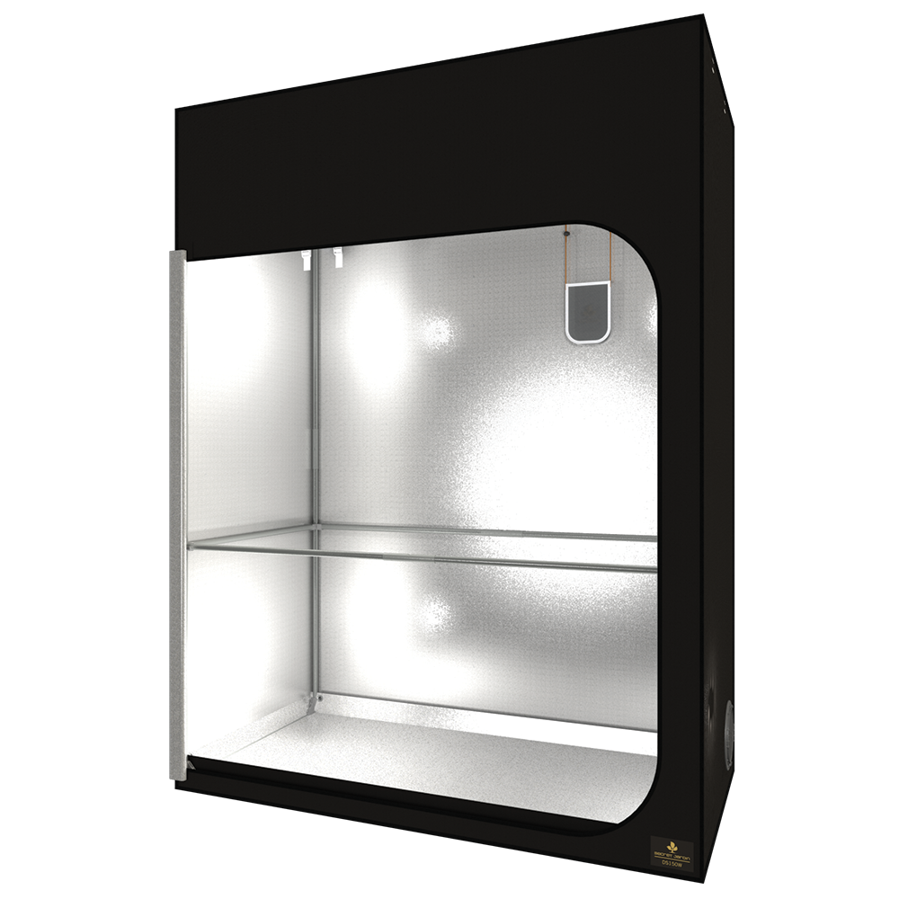 Secret Jardin Dark Street R4.0
