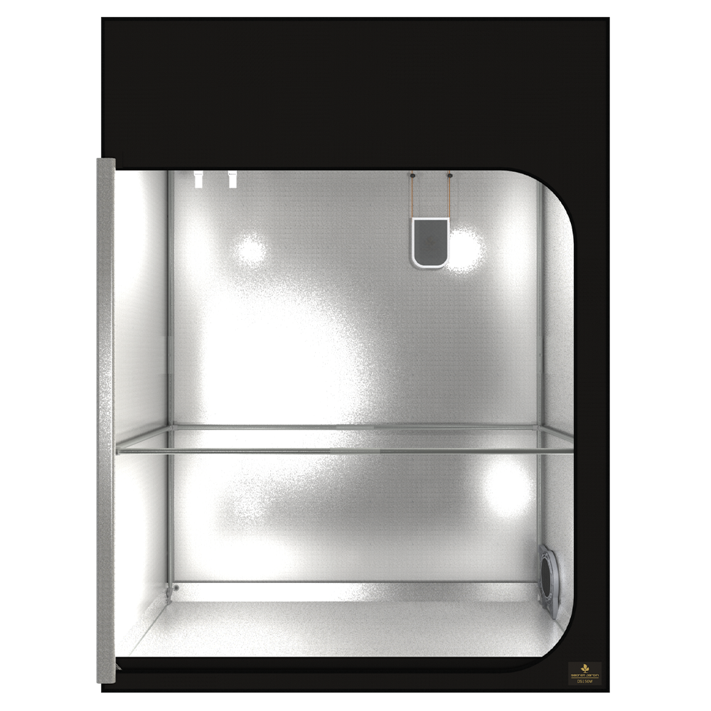 Secret Jardin Dark Street R4.0