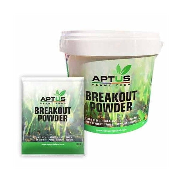 Breakout Powder Aptus