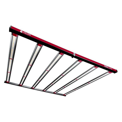 Caluma LedForce Pro 630w