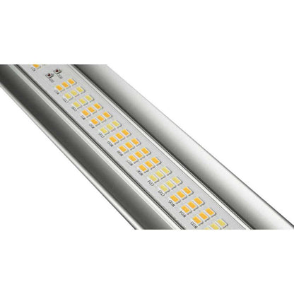 Caluma LedForce Pro 630w